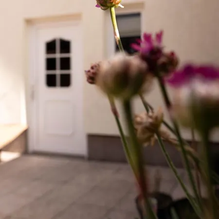 Haus Am Rauschenden Wasser * Wernigerode