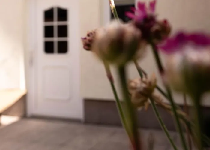 Haus Am Rauschenden Wasser * Wernigerode