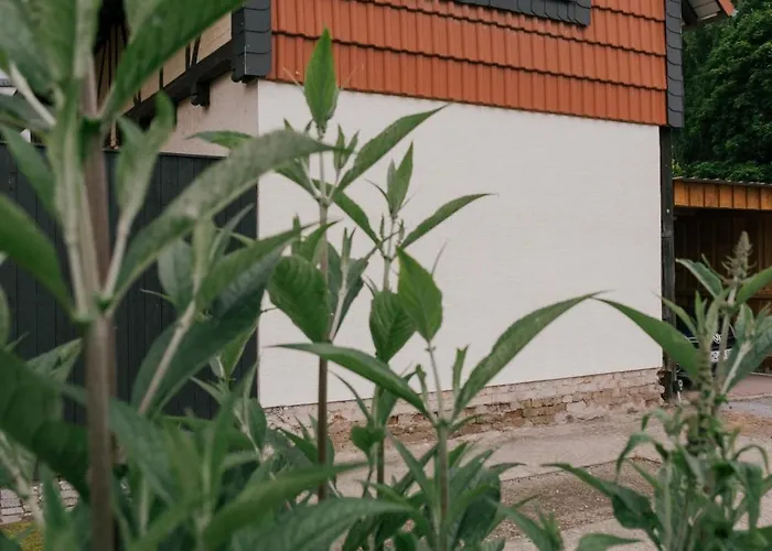 Haus Am Rauschenden Wasser * Wernigerode